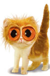 Crazy cat